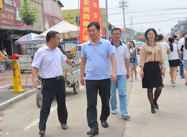 县长王广敏到李庄镇调研小城镇建设