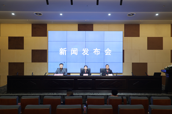 2024年宿州市平安建设工作系列新闻发布会(第四场)