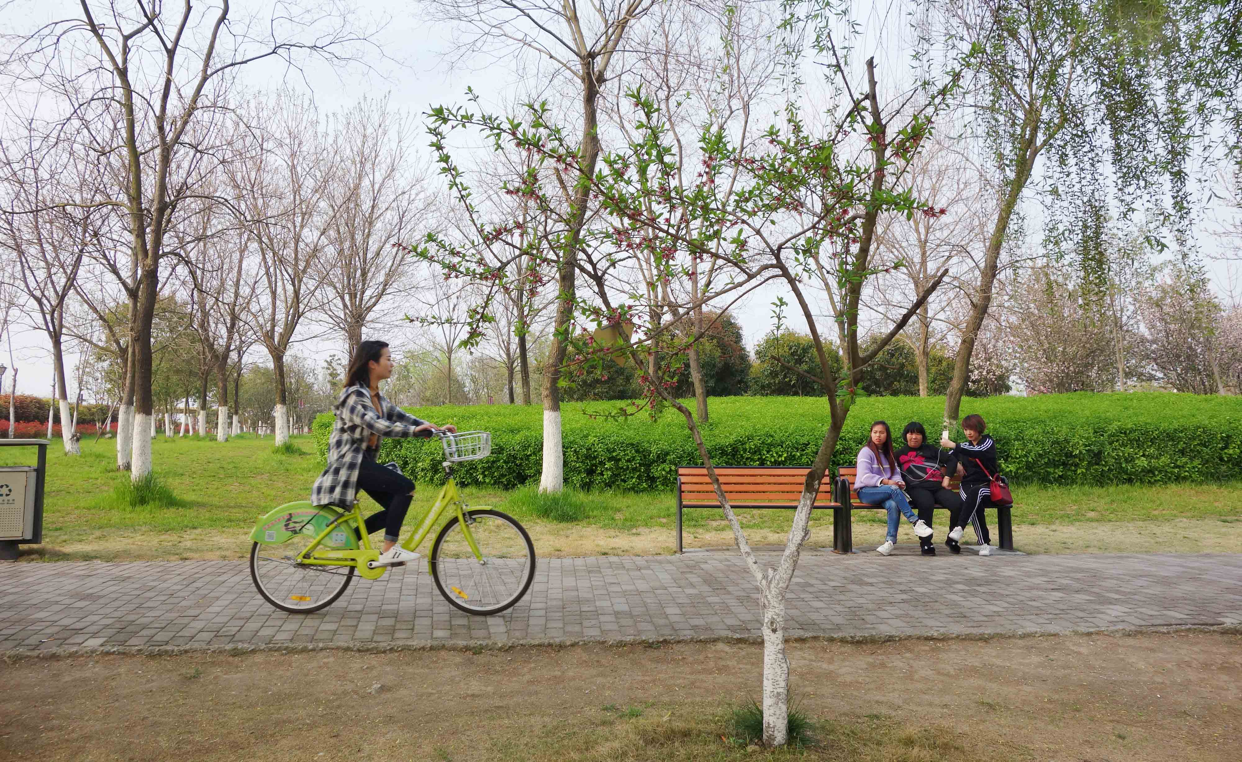 宿州市民踏青春游美景如画