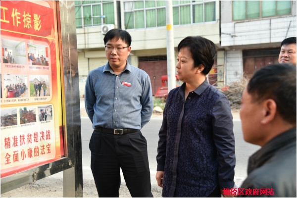 牛慧琴到支河乡进行脱贫攻坚调研