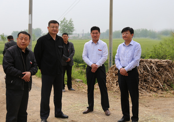 王法立一行先后查看了草沟镇,墩集镇,屏山镇,大庄镇,刘圩镇,黑塔镇