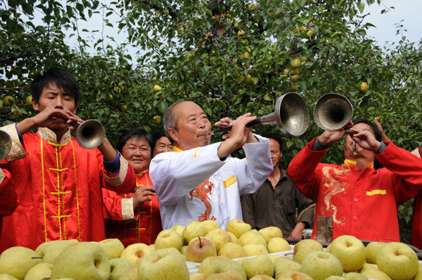 砀山唢呐获金奖_宿州市人民政府