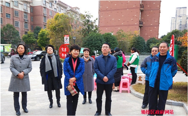 高莉来埇桥区督导综治工作_宿州市人民政府