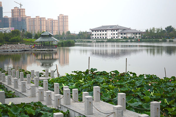 人民网:砀山县"五化建设"推进省级文明县城创建_宿州市人民政府