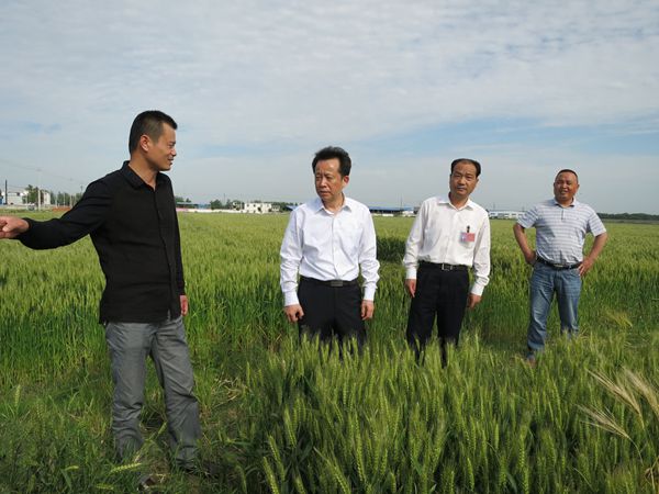 市领导张志宏赴埇桥区检查秸秆禁烧工作