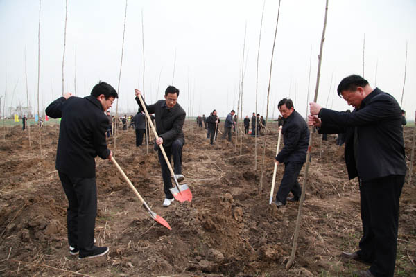 县四大班子领导参加植树造林活动