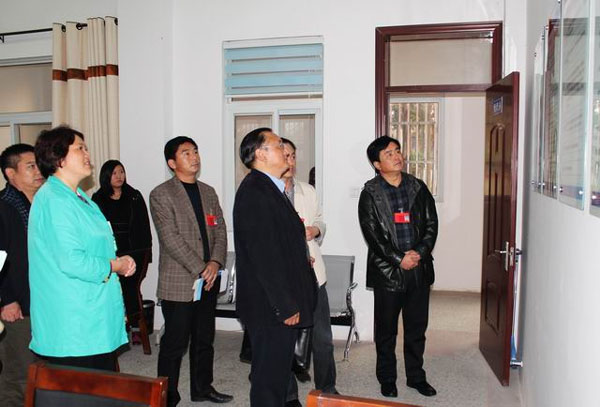 人民日报社上海总社主编余新江一行到大庄镇采访调研