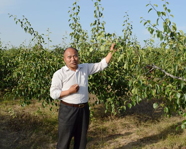 劳模风采孙宗华发展现代农业的排头兵